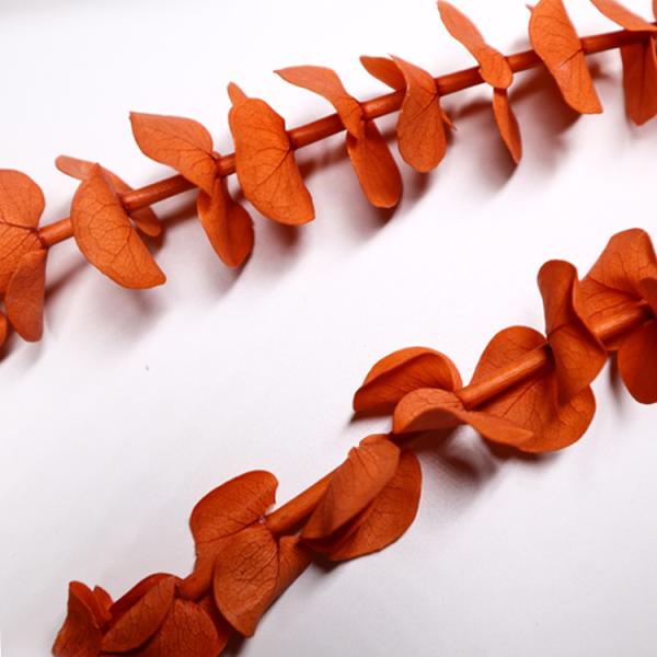 OEM Service Preserved Foliage Leaves Durable For Home Wall Decoration