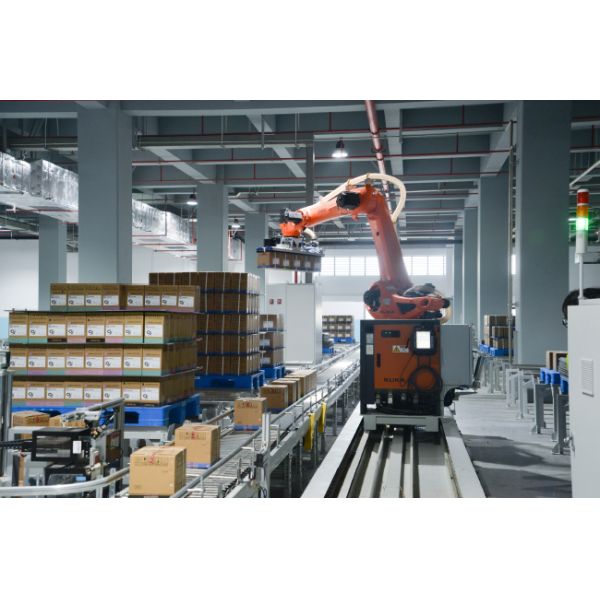 Cold Storage Warehouse Pallet Stacker Crane ASRS Logistics Center Automatic Storage And Retrieval System