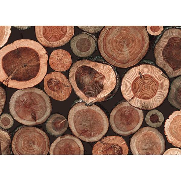 Китайский стиль выбил обои украшения домашней комнаты 3Д для предпосылки салона/ТВ