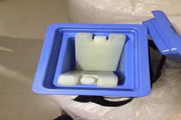 Fresh Refrigerated Thermal Insulation Ice Box Medical Food Plastic Cooling Gel Ice Brick