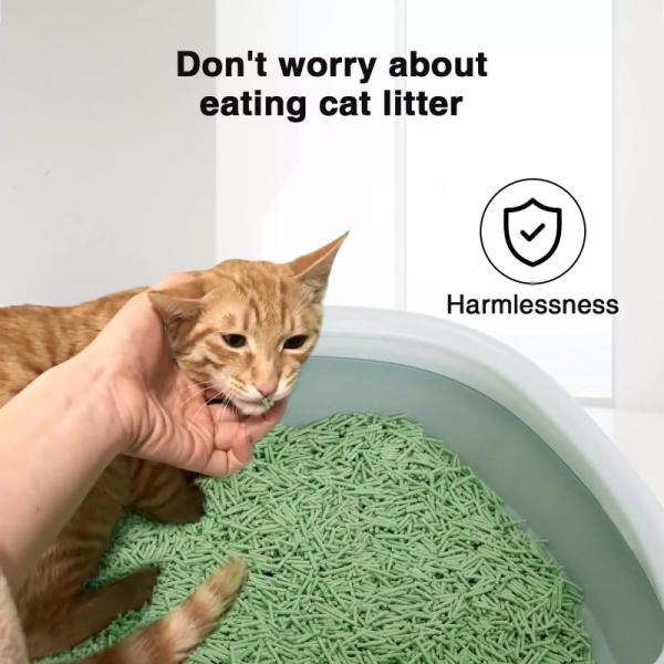 Déodorant pour le thé vert, poudre libre de la litière de chat, bande de tofu de la litière de chat