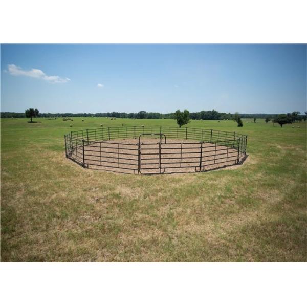 На открытом воздухе персонализированное поголовье ограждая панели/скотин обшивает панелями ворота загородки