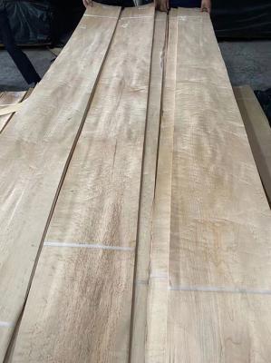 Slice Cut Birds Eye Maple Wood Veneer 0.50mm Panel A