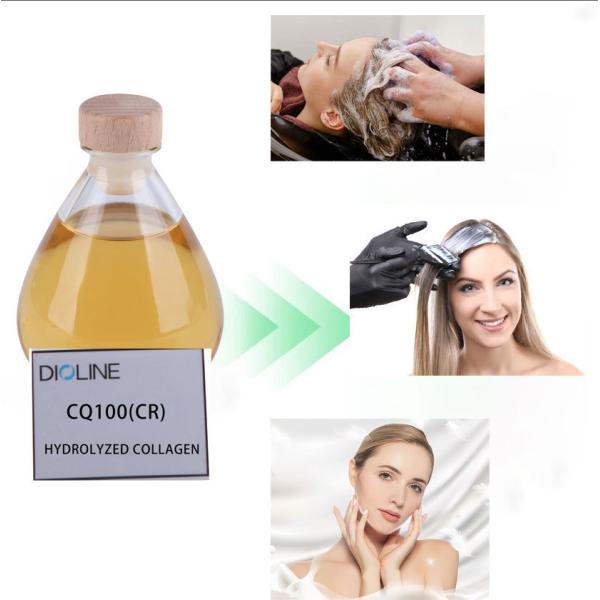 Hair Perm Raw Material Hydrolysed Collagen Cas NO. 73049-73-7 CQ100