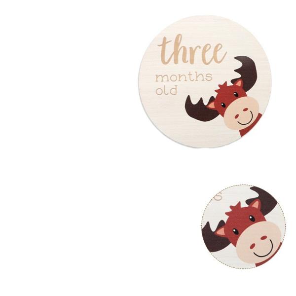 Des cartes de la plus haute importance mensuelle - Les disques en bois parfaits pour les animaux adorables Des cartes de la plus haute importance de votre nouveau-né