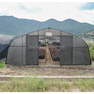 Polytunnel Small Single-Span Agricultural Greenhouse with PE Plastic Film Cover