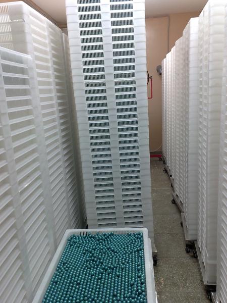 Food Grade Plastic Drying Trays Pharmaceutical Drying For Softgel Capsules and paintball