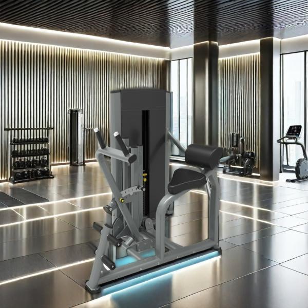 Dual Function Gym Equipment For Strength Training Steel Back Extension Abdominal Machine