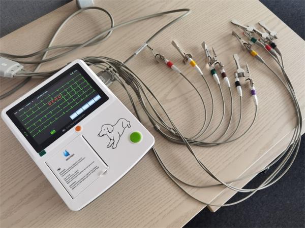 User-Friendly Vet-Specific Animal ECG Monitor With 7 Touchscreen Data Management Sleep Mode Keyboard Support