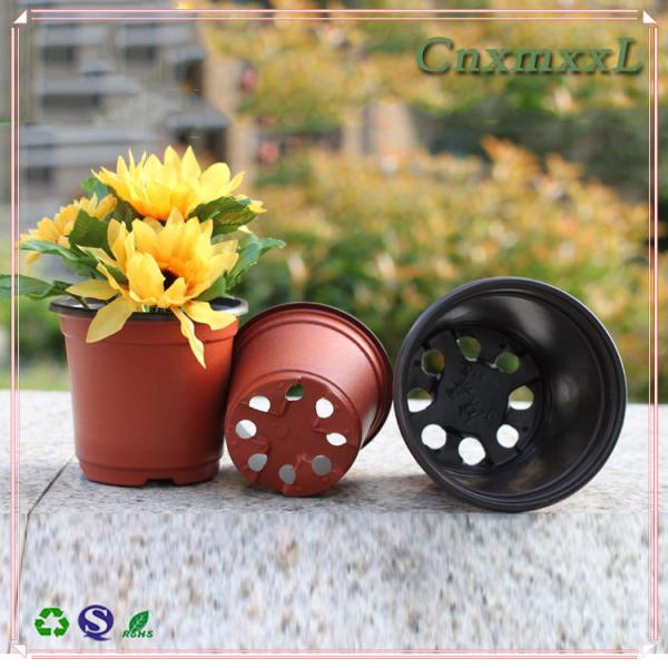 Greenhouse Using Bicolored Small Plastic Flower Nursery Pots For Seeds