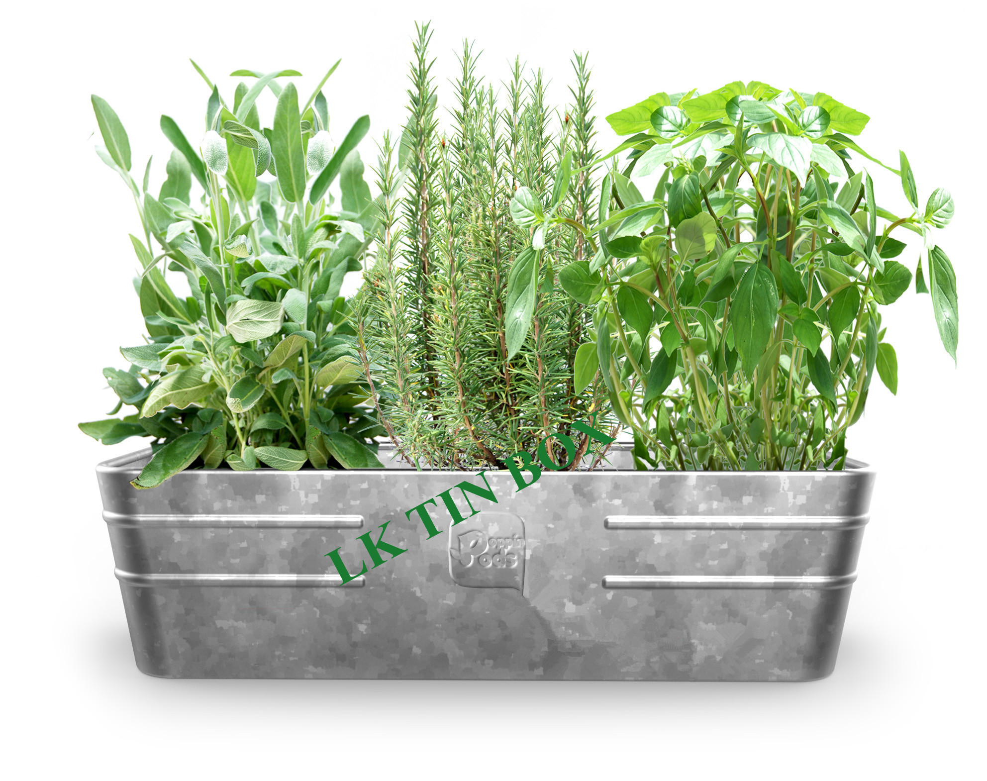 Metal Tin Bucket Rectangular Flower Vegetables Plants Herbs Growing