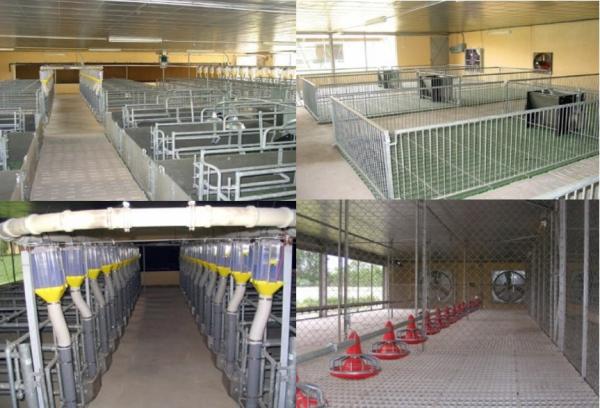 Poultry Industry Events | Conferences exhibitions - - NorthHusbandry Machinery