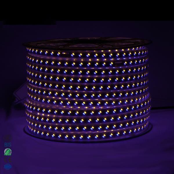 220V 5730 white warm white blue purple Flexible strip lighting led Double row 120chips/m LED strip lights/led light stri