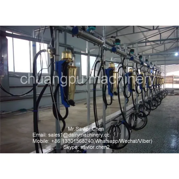 Automatic Milking System with Herringbone Structure and Waikato Milk Meter for Dairy Cows - CE, ISO, SGS, FDA Certified