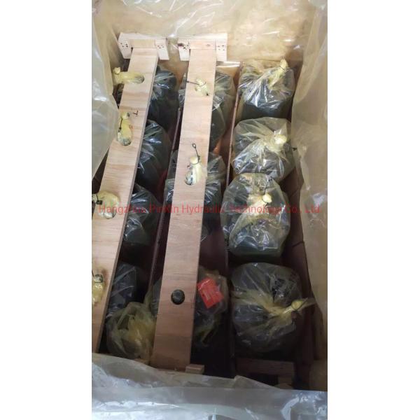 Pxhyds A10VG45 A10vg45ep4d Replacement Hydraulic Piston Pump for After-sales Service