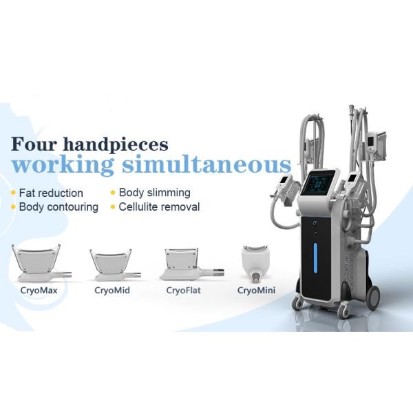 CE approved 4 cryo handles work together cool sculpting body slimming Cryolipolysis machine