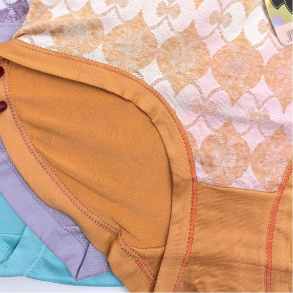 Woman Underwear 2025 Wholesale Promotion Price Factory Direct Sell Women Panties