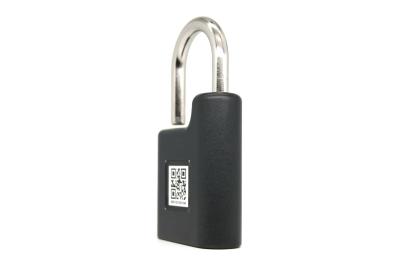 Cadeado pequeno automático da letargia 2700mah Bluetooth para a porta de jardim