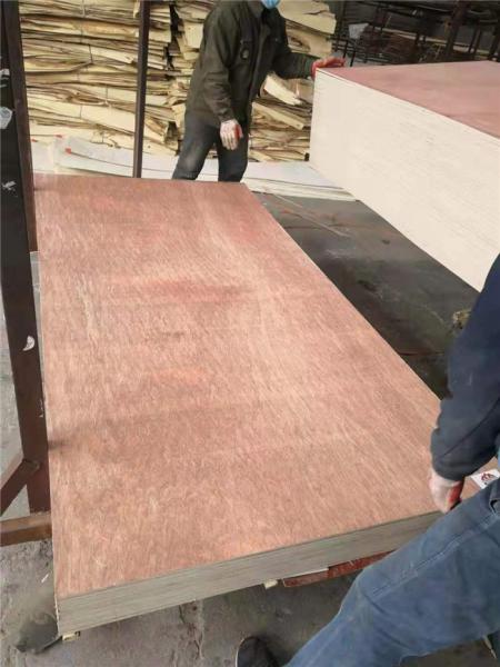 Anti Acid BB Grade 1250x2500mm Bintangor Plywood