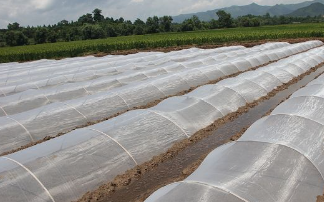 White Plastic Agricultural Film with Thickness 20 Micron Recyclable