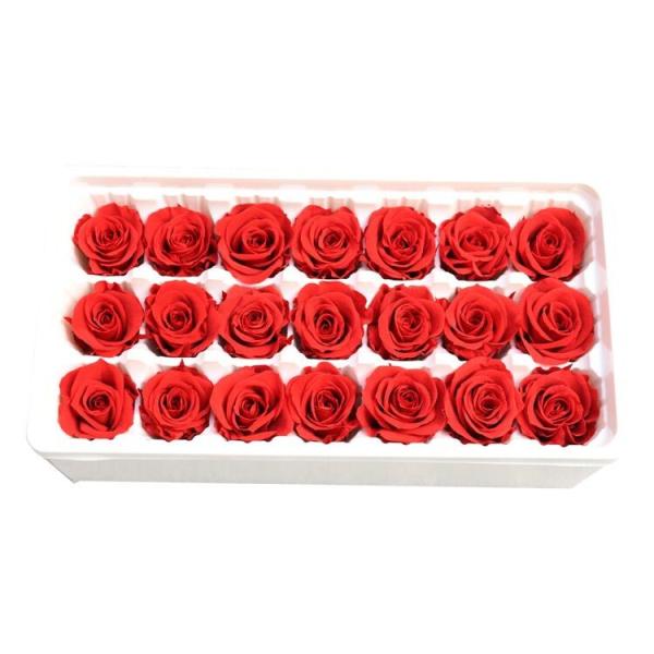 beautiful preserved rose flower A grade stabilized rose preserved long lasting eternal rose 4-5cm