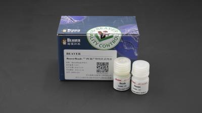 250ml DNA Library Construction Kit PCR Purification Kit For Genotyping