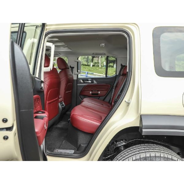 HOT SALE 2025 Tank 300 330 3.0T V6 TANK 300 gasoline cars China SUV