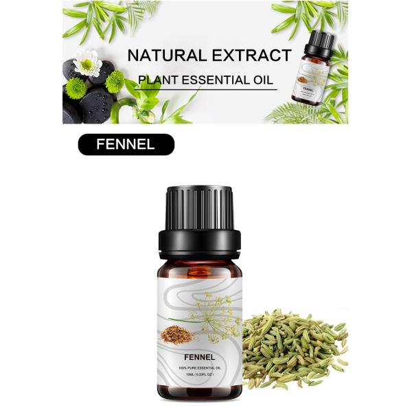 Ароматерапия массажа эфирного масла OEM фенхеля кожи 100ml сладкая отражая