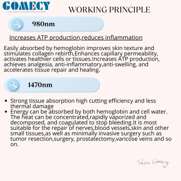 Sistema láser de diodo Gomecy más reciente de 980 nm, 1470 nm y 635 nm para tratamientos de endolifting, cicatrización de heridas y antiinflamatorios
