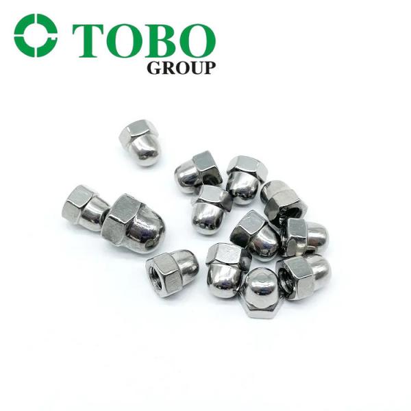 304 Stainless Steel Hex Cap Nut DIN 1587 Hexagon Domed Cap Nut