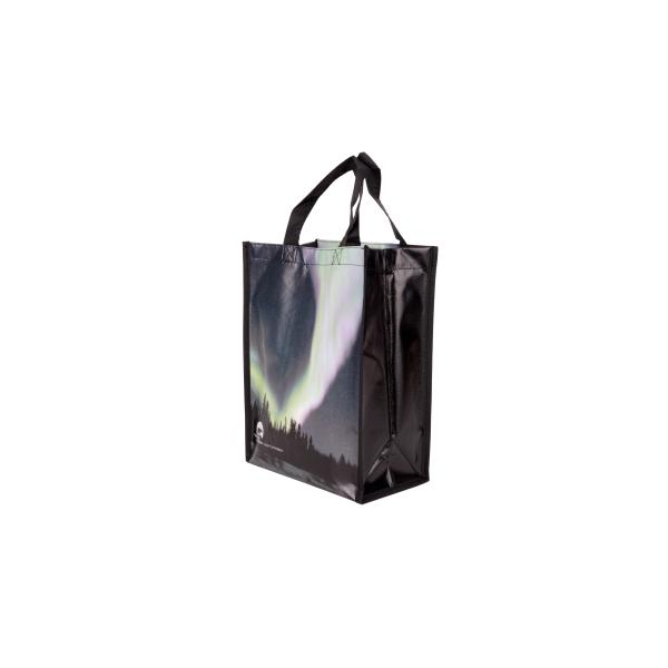 Folding Retail Shopping Bags , Printed Polypropylene Promotional Eco Friendly Bags