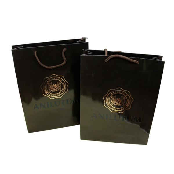 Shining Coated Twenty 210g Artpaper / Paper Carry Bag For Shopping Packaging