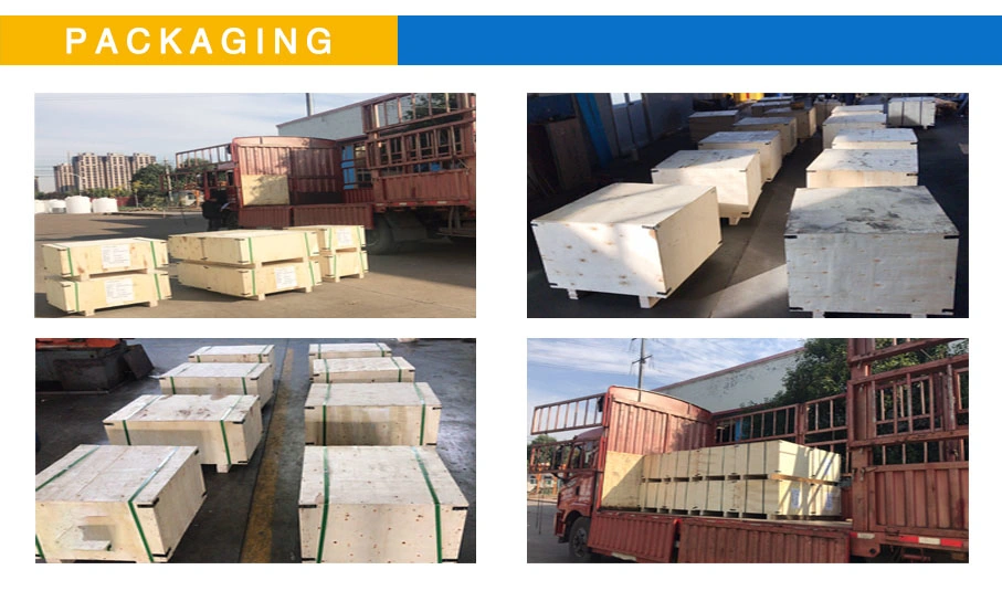 Spring Swivel Eye Snap Shackles Loop Type Hot Galvanizing