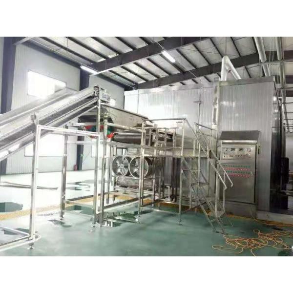Commercial Flash Blast Tunnel Freezer 600kgs/Hour 800kgs/H ODM