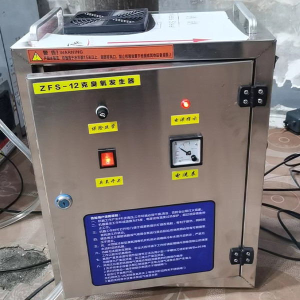 12g Полностью автоматическое оборудование для улучшения окружающей среды для стерилизации озона для пищевой промышленности