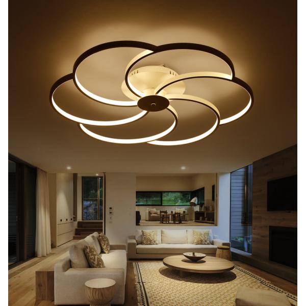 240V Flower Shape 420*80mm 550*80mm Aluminum 48w Modern Ring Light