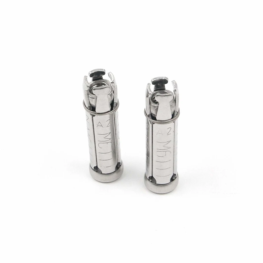 Parafuso de expansão M6 interno para a parede SS304 contínua de aço inoxidável e a âncora do Drywall