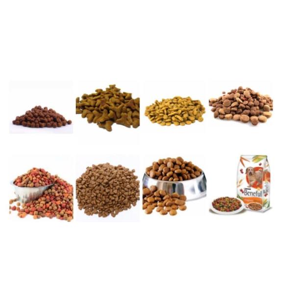 Dry Dog Fish Cat Pet Food Making Machine Twin Screw Extruder Three Phase