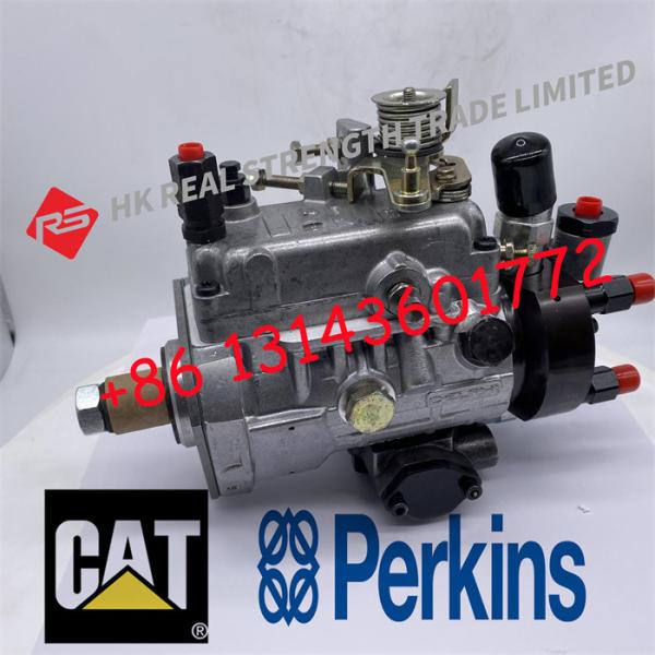 Caterpiller Engine Spare Parts Fuel Injector Pump 8920A714W For New Holland DP200