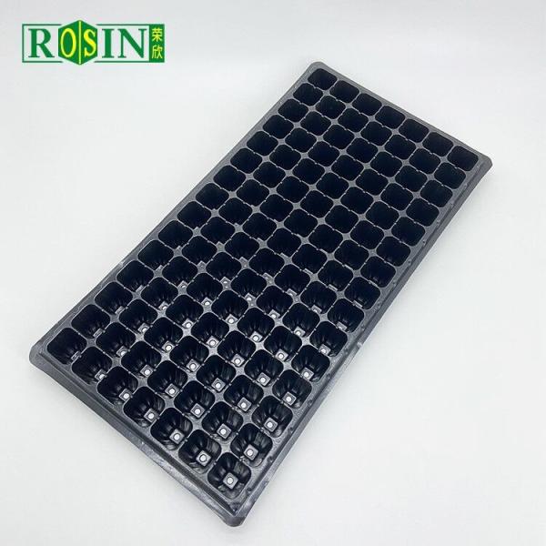 Custom PVC Plastic Black Plastic Seed Trays 288 Hole For Agricultural Planting