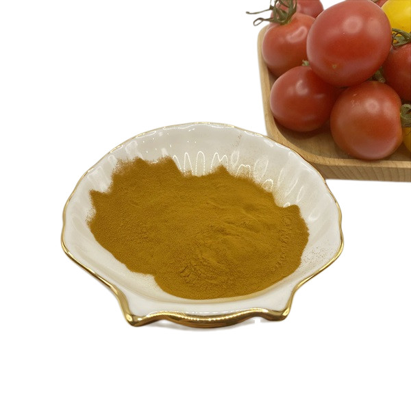 OEM Fermentation Brown Potassium Fulvate Powder 5% Amino Acid