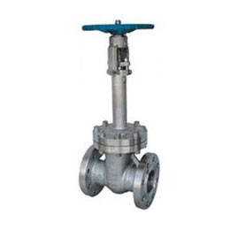 Cryogenic Gate Valve