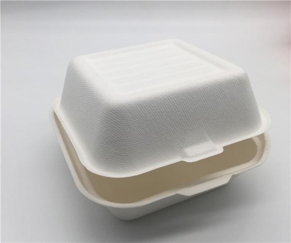 6 Burger Box Food Grade Sugarcane Bagasse Take Away Food Box