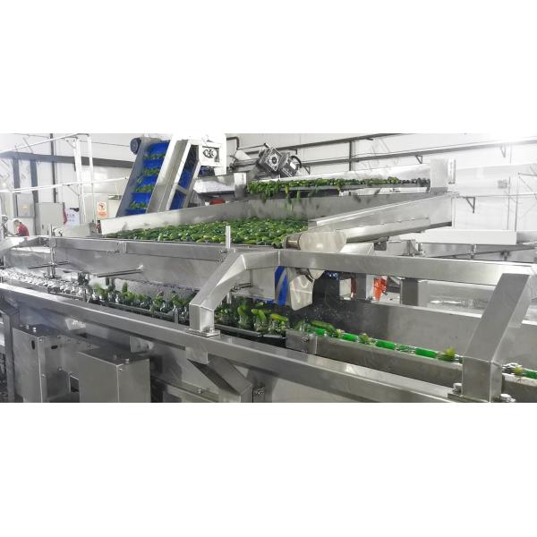 Automatic Canned cucumber Vegetable Cans  production line Equipment Customized