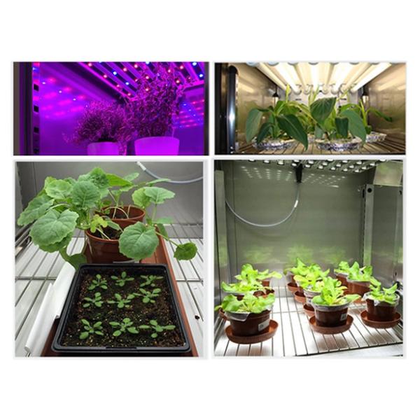 Инкубатор искусственного климата камеры выращивания растения климата исследования лаборатории lac-N