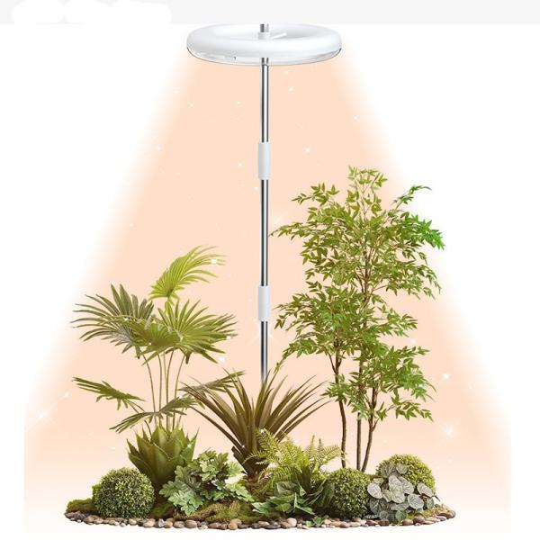 9W Height Adjustable LED Growth Lamp 4000k For Indoor Desk plant