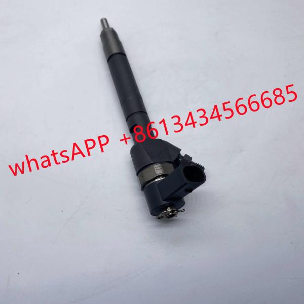 0445110064 Fuel CE Delphi Diesel Injectors