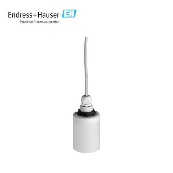 Sensor de interfaz ultrasónico Endress-Hauser original 100% nuevo Turbimax CUS71D, sensor digital de nivel de lodo a buen precio en stock