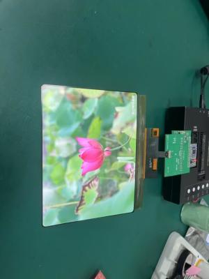 8 Inch Amoled Display Module 1860×2480 MIPI Interface Driving IC RM69380 430C/D