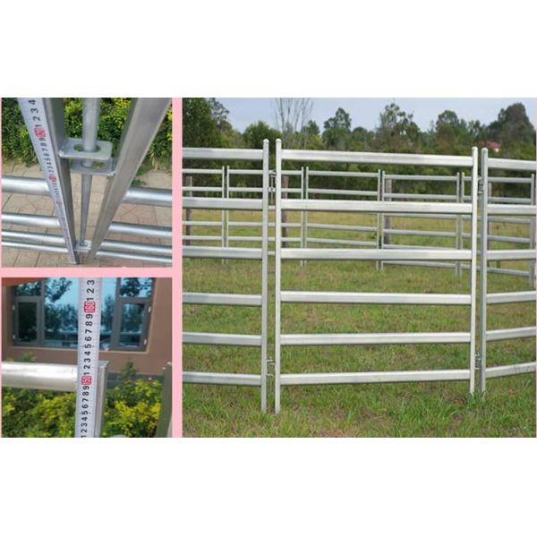 3 cerca os painéis de Galvanized Livestock Fencing da cerca da cerca do metal de 4m